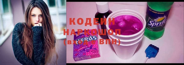 дурь Заводоуковск