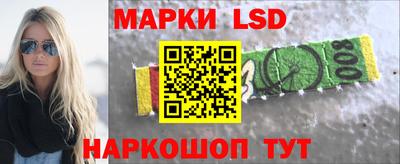 СК Кингисепп
