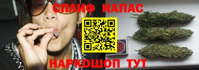 ГАЛЛЮЦИНОГЕННЫЕ ГРИБЫ Гусиноозёрск
