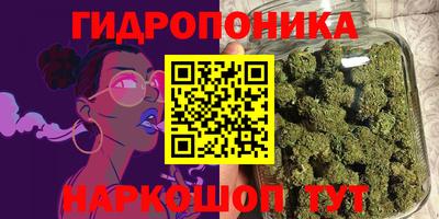 ГАЛЛЮЦИНОГЕННЫЕ ГРИБЫ Гусиноозёрск