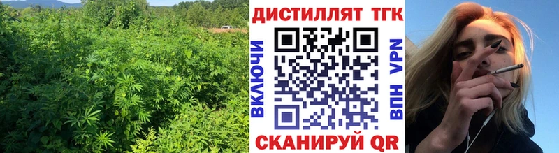 как найти закладки Малоярославец Дистиллят ТГК концентрат