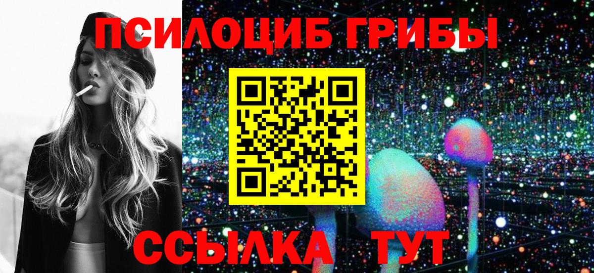 магазин    Малоярославец  Псилоцибиновые грибы мицелий 