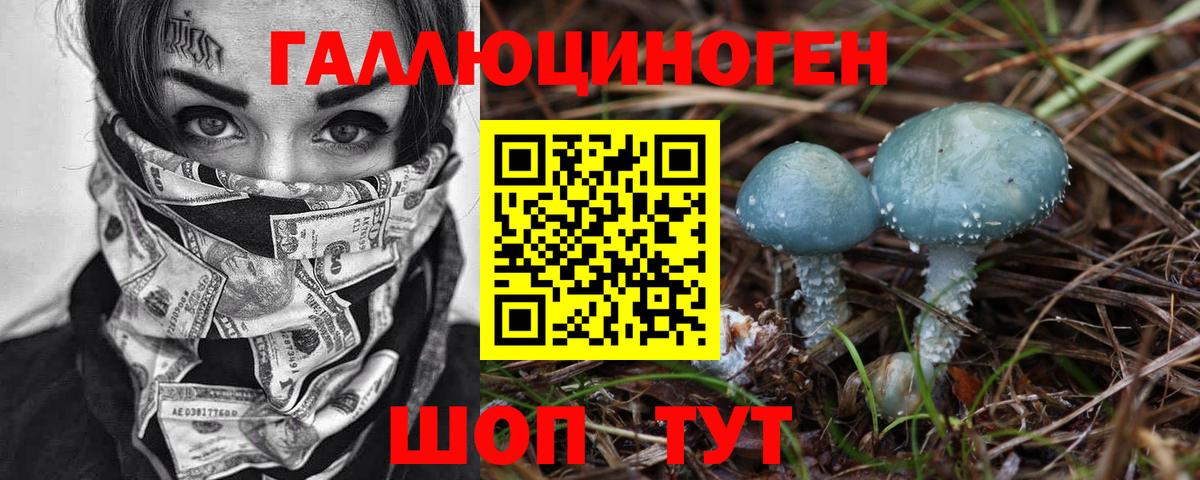 Псилоцибиновые грибы GOLDEN TEACHER  Псилоцибиновые грибы GOLDEN TEACHER  Вход с VPN  Малоярославец 