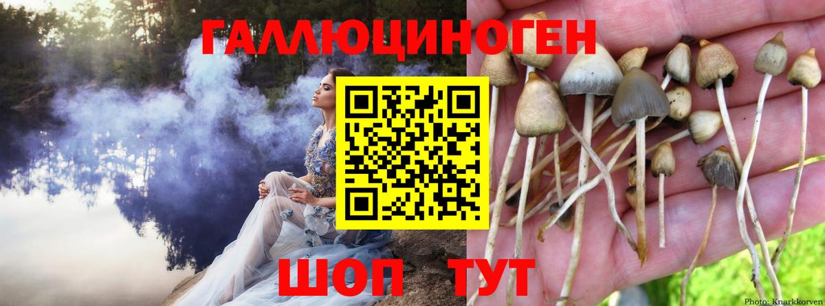 Псилоцибиновые грибы Magic Shrooms Малоярославец
